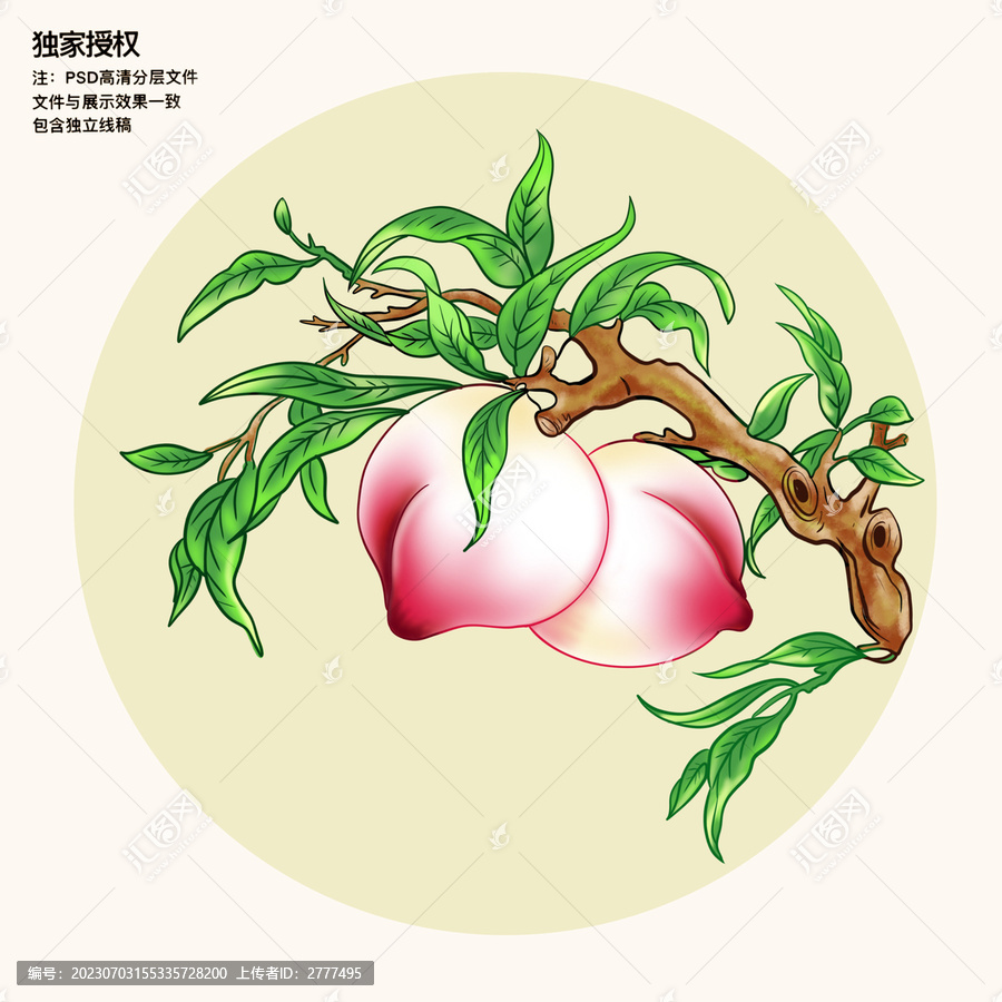 桃子插畫