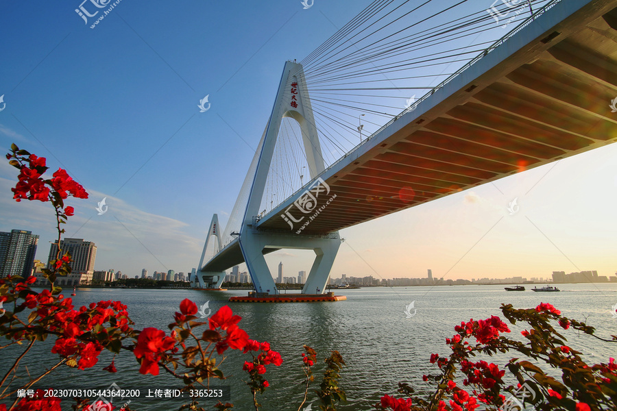 海口世纪大桥