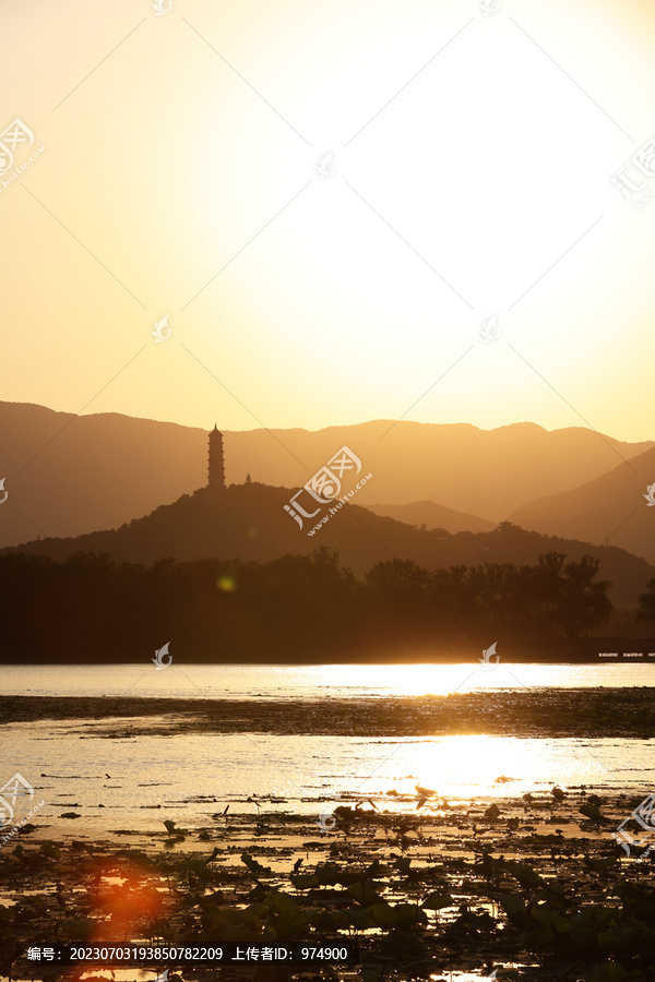 颐和园昆明湖西堤荷花夕阳