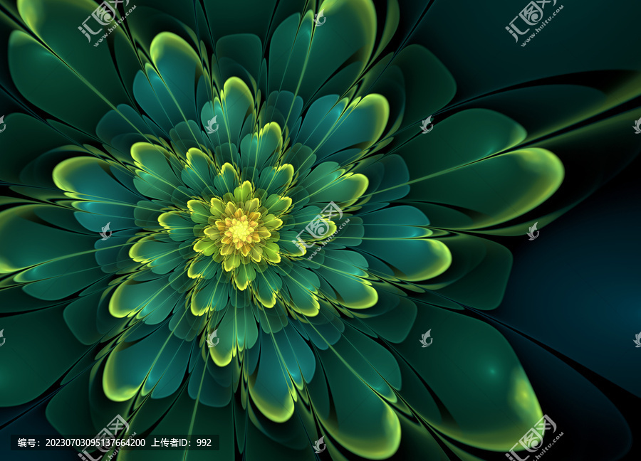 炫彩分形花