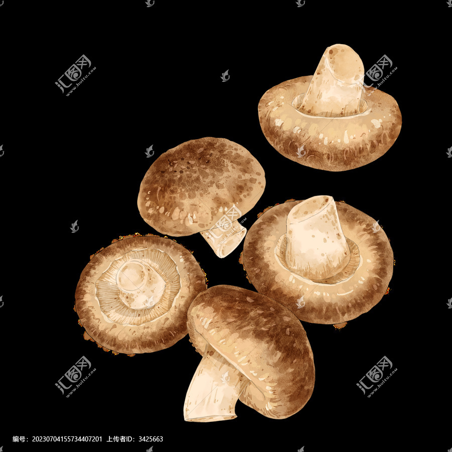 香菇