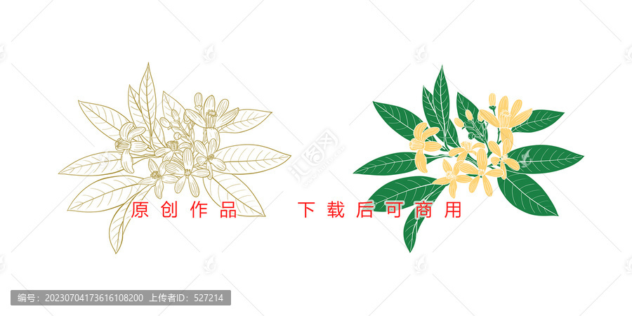 橙花