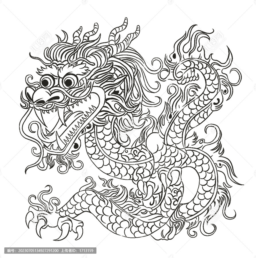 中國(guó)龍白描