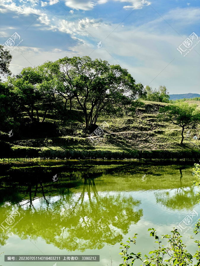 草原风景自然风景