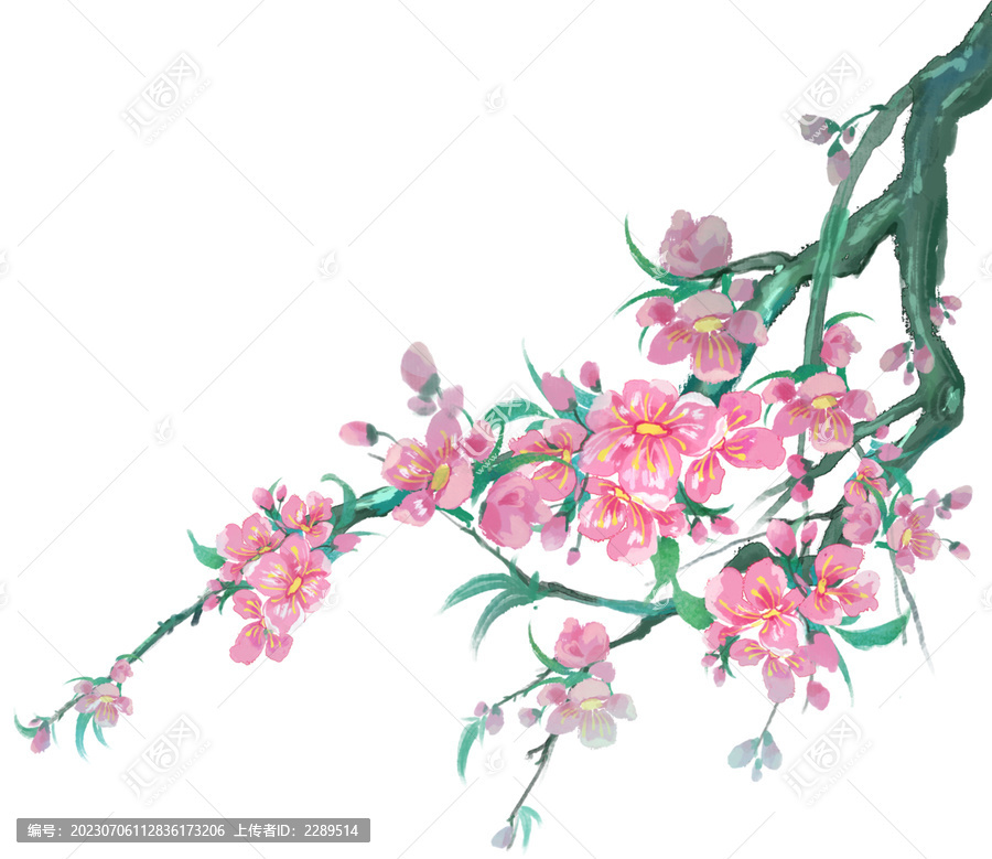 水彩桃花