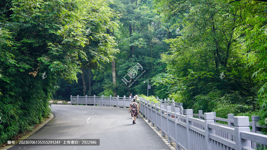 雅安碧峰峡基地