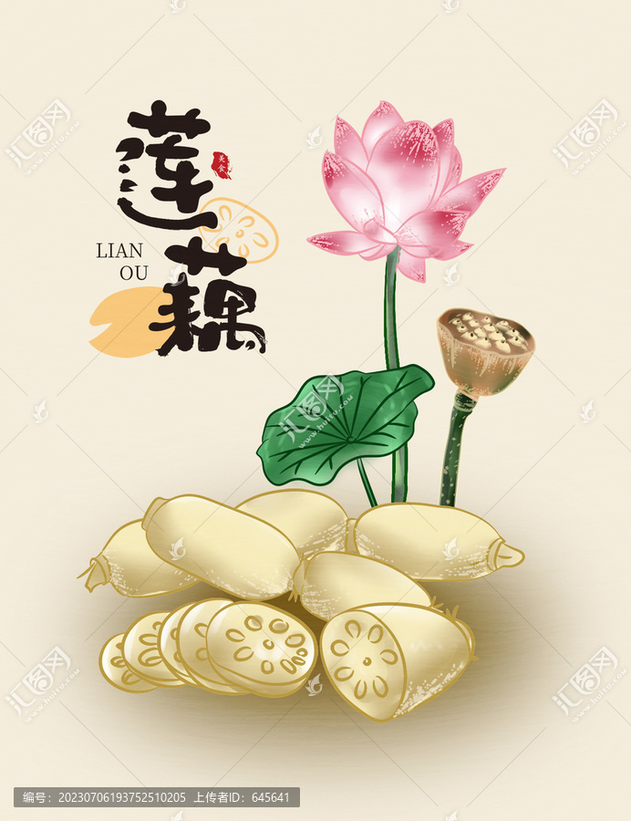 蓮藕插畫圖