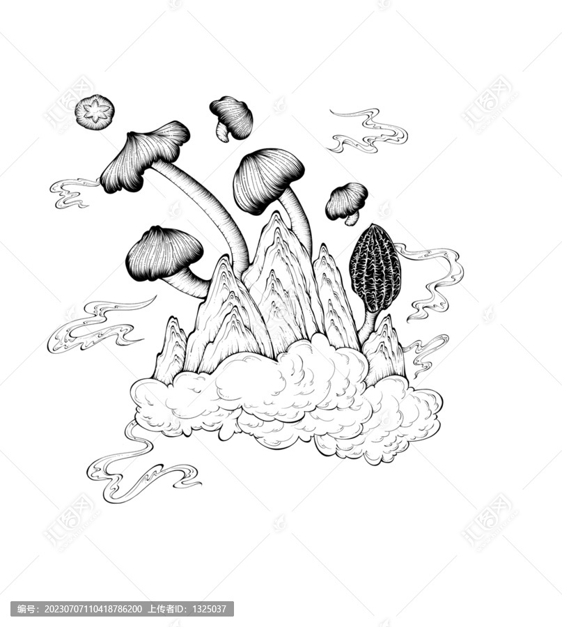 云南野生菌羊肚菌雞樅菌茶樹菇