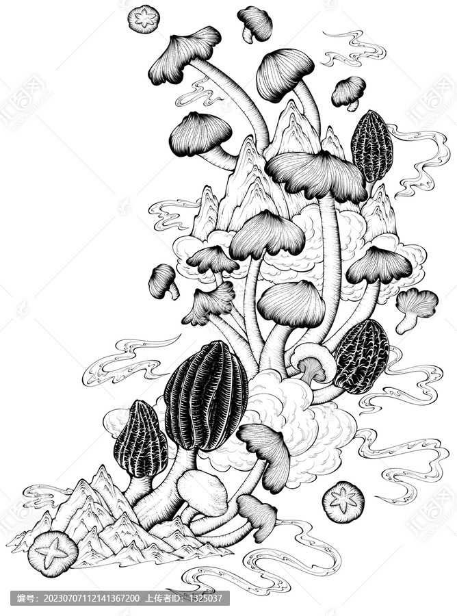 云南山珍菌菇羊肚菌雞樅菌禮盒