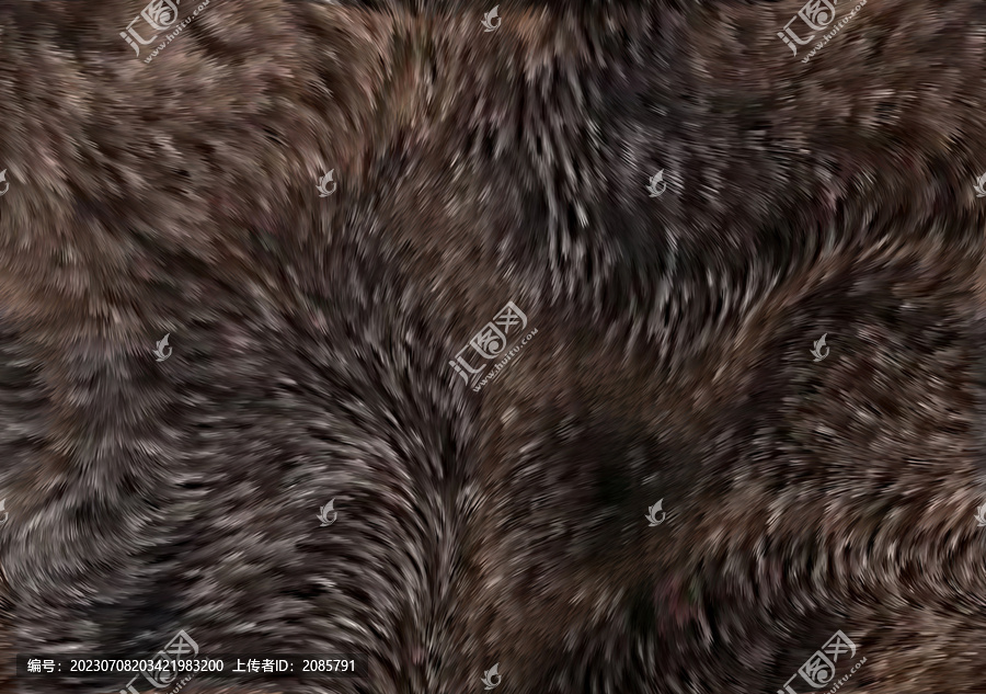 動物毛發紋理