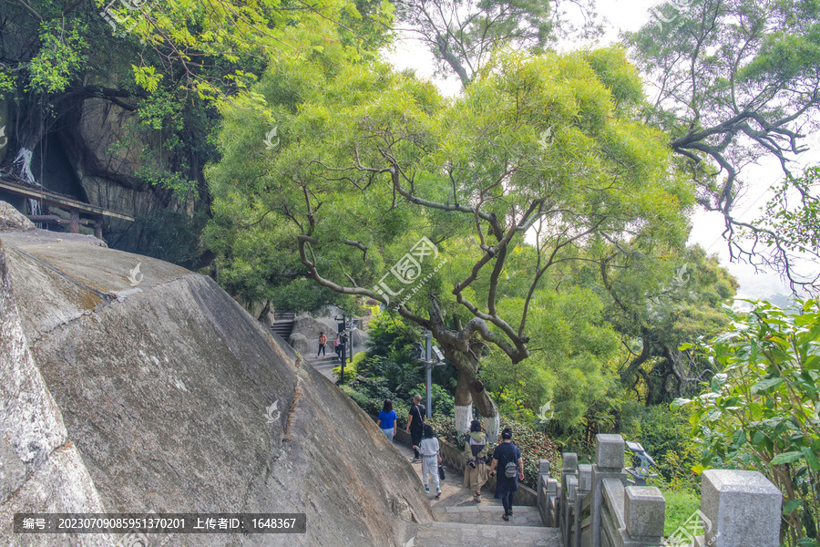 日光岩峭壁旁的石阶路与树木