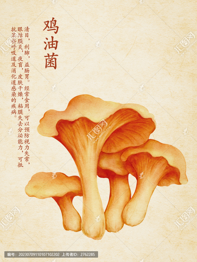 雞油菌
