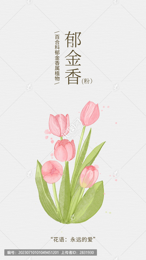 水彩手粉色郁金香