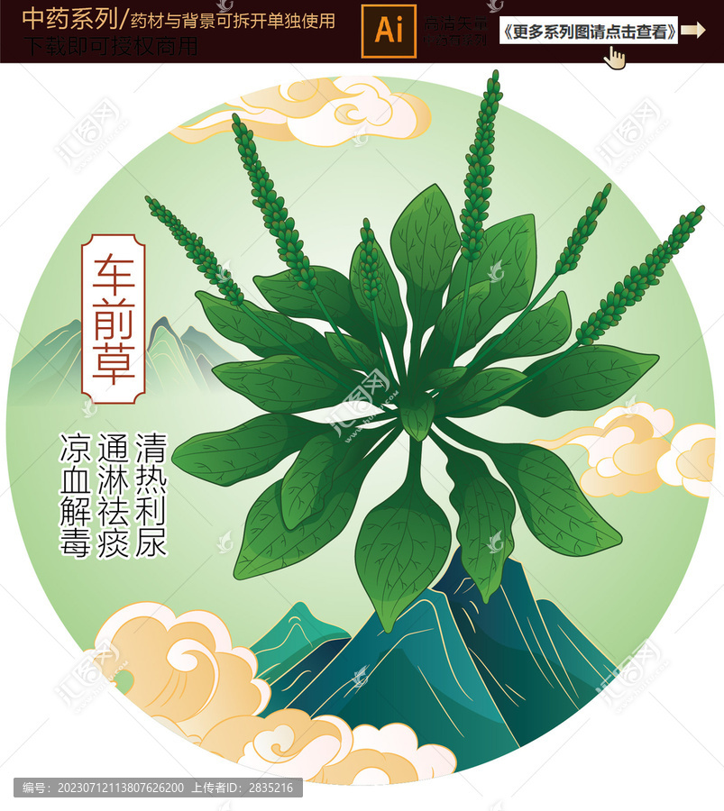 車(chē)前草