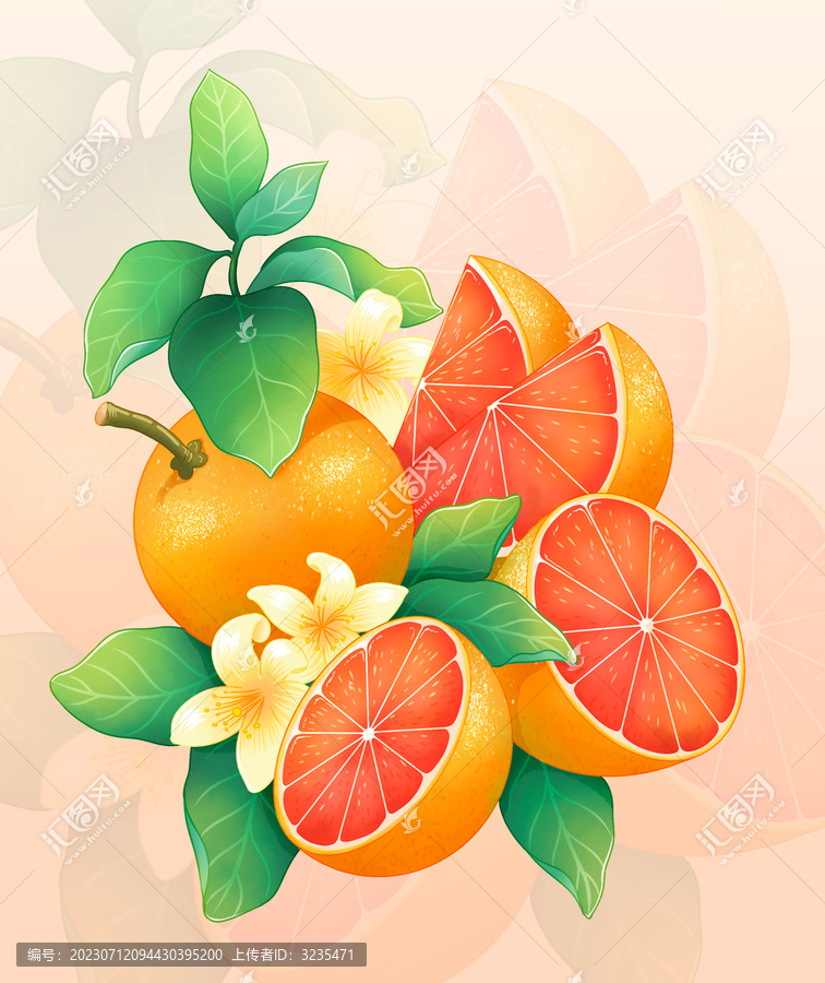 西柚插畫