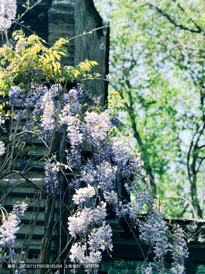 花墙