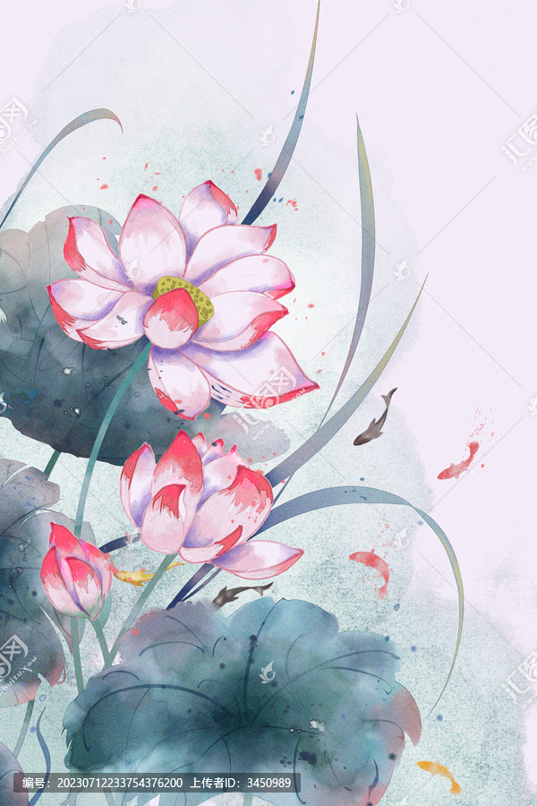 荷花