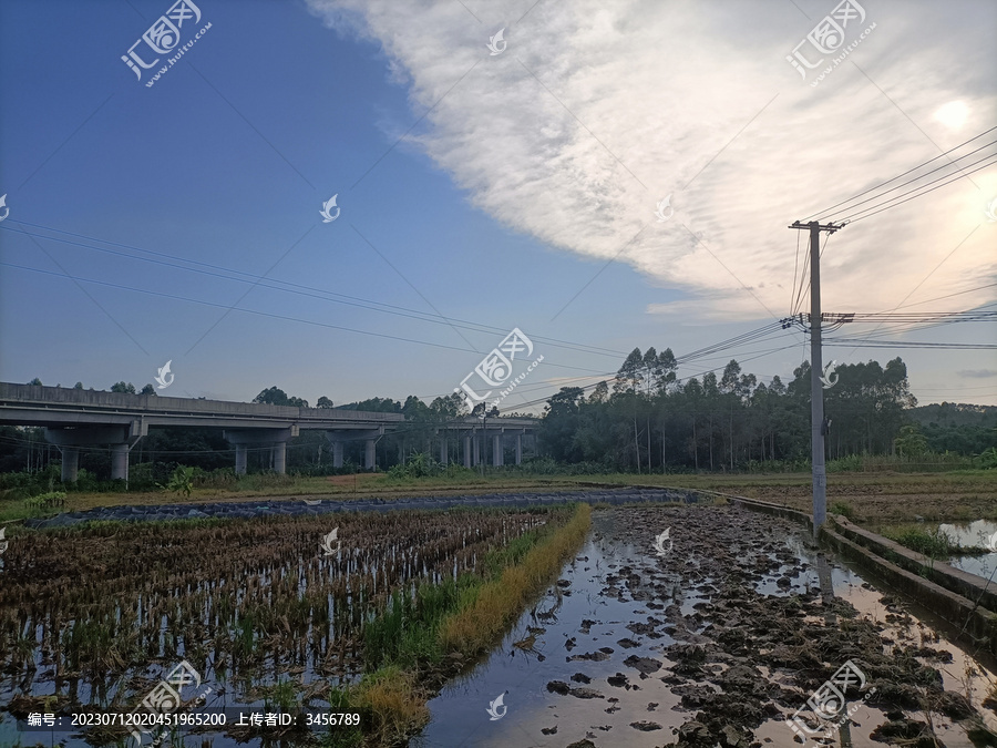 田园