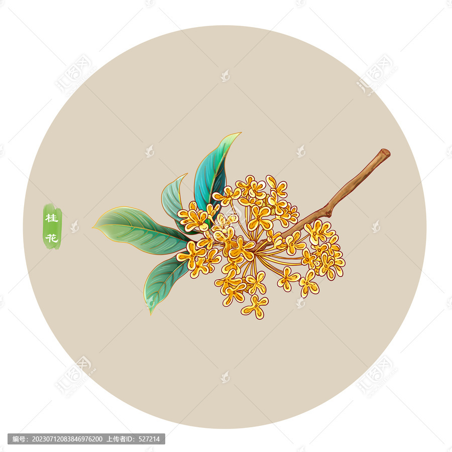 國(guó)潮桂花