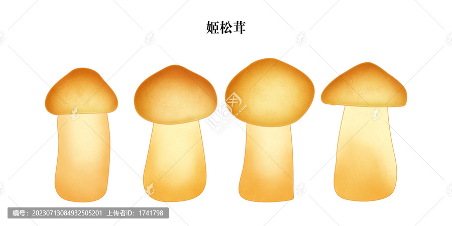 姬松茸