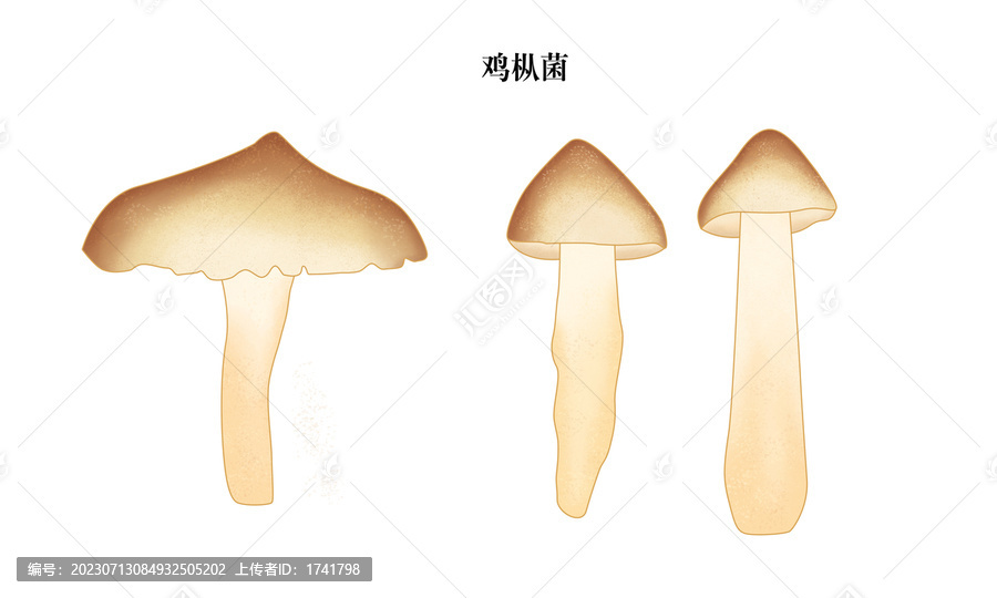 雞樅菌