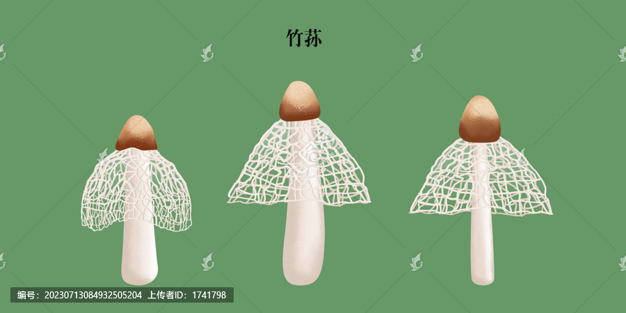 竹蓀
