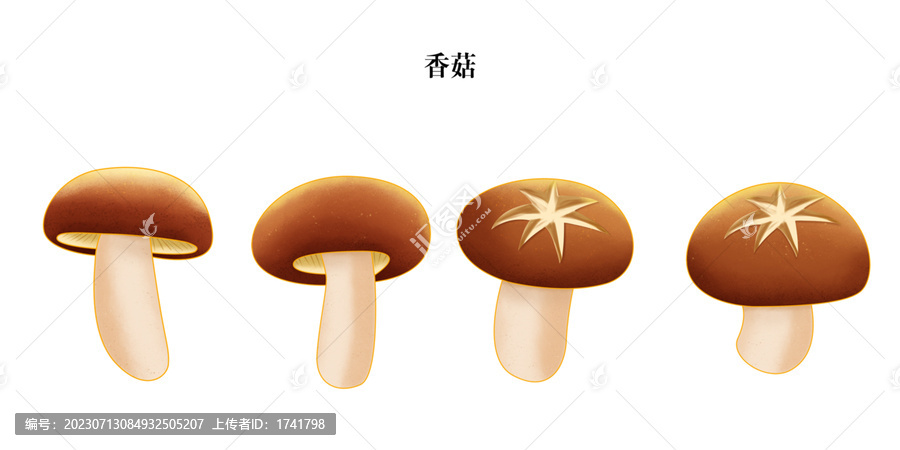 香菇