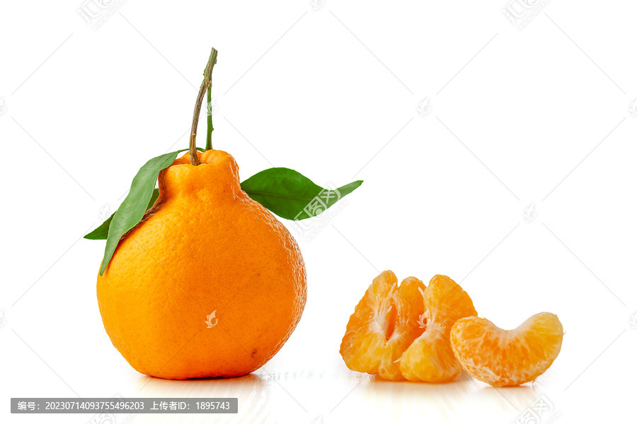掰开的丑橘