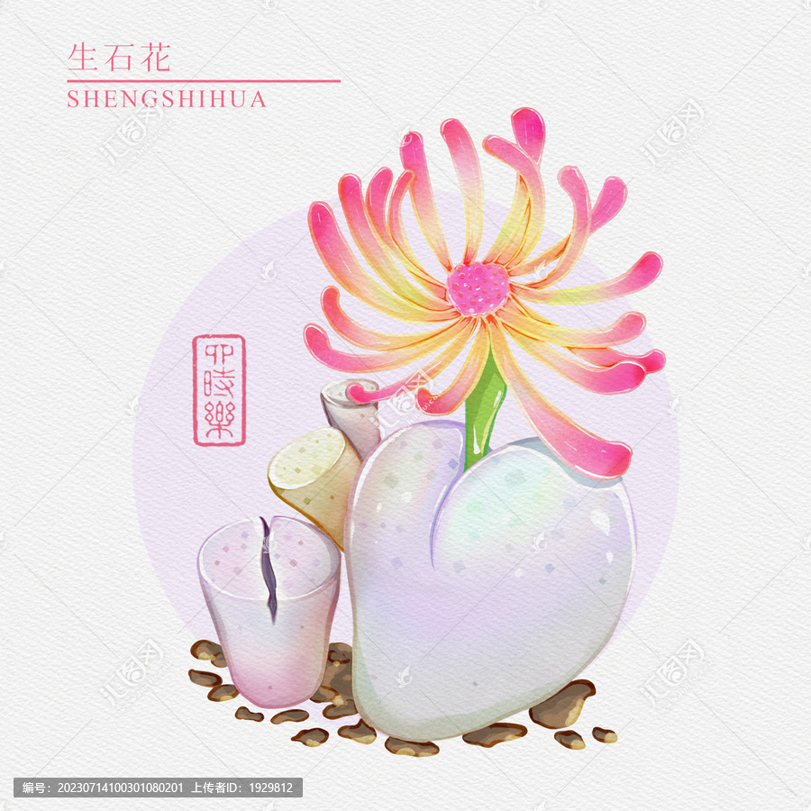 生石花
