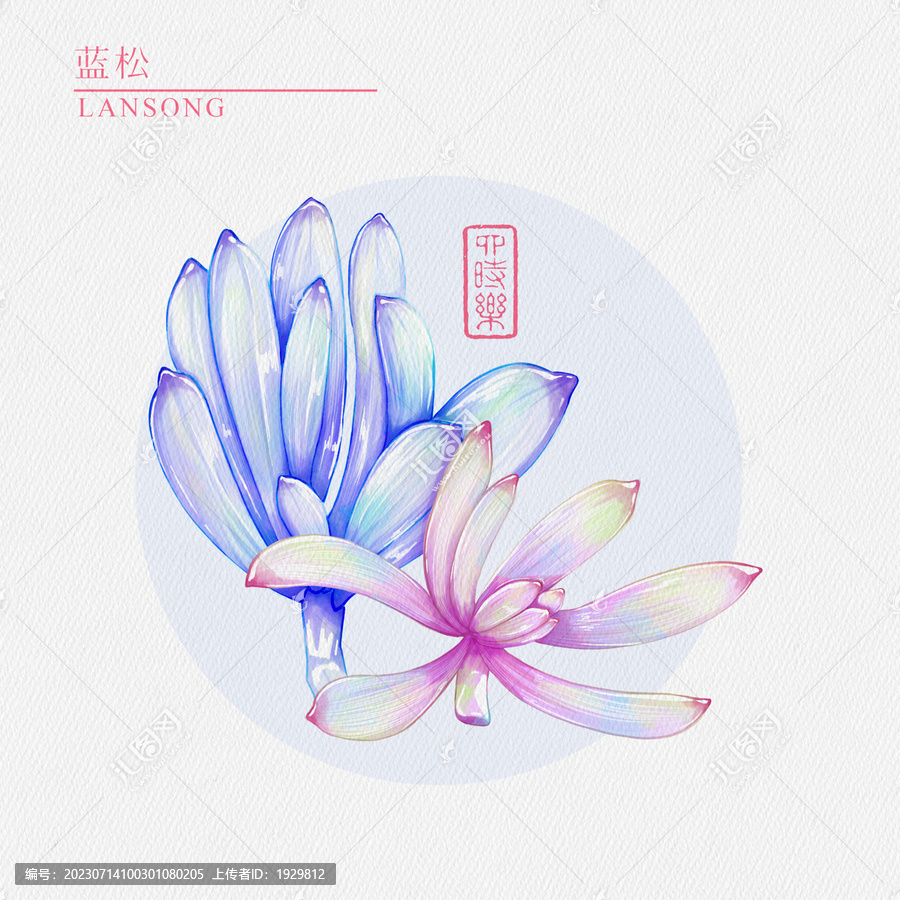 藍松