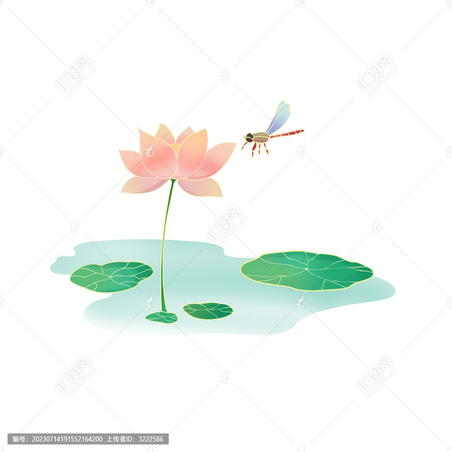 荷花蜻蜓國風(fēng)插畫
