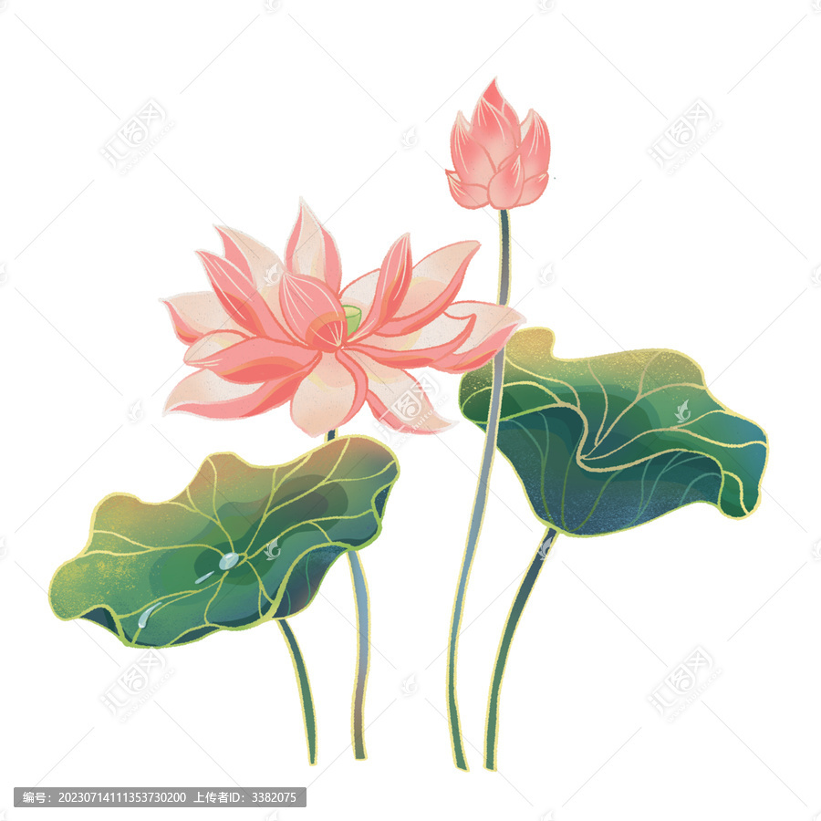 荷花插畫元素