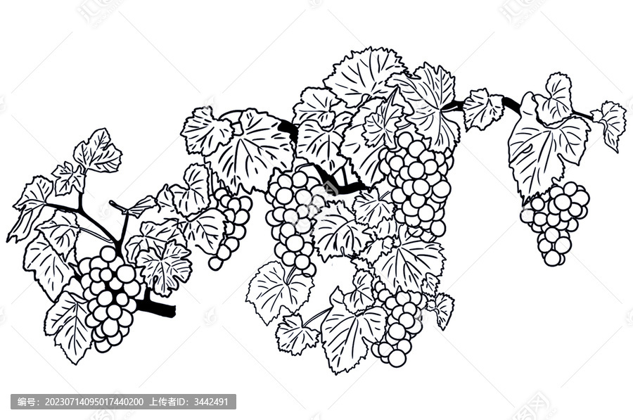 原創(chuàng)手繪葡萄架插畫(huà)線條分層