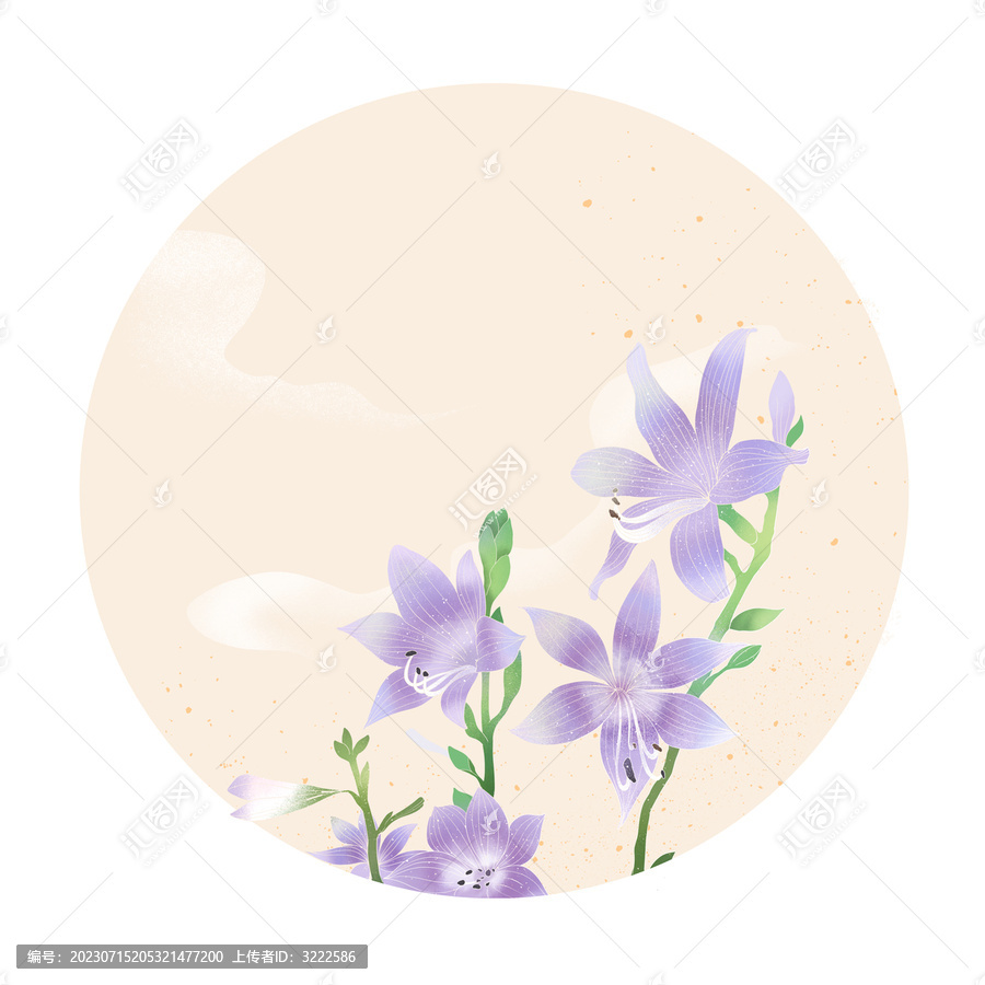 手繪國(guó)風(fēng)玉簪插畫(huà)