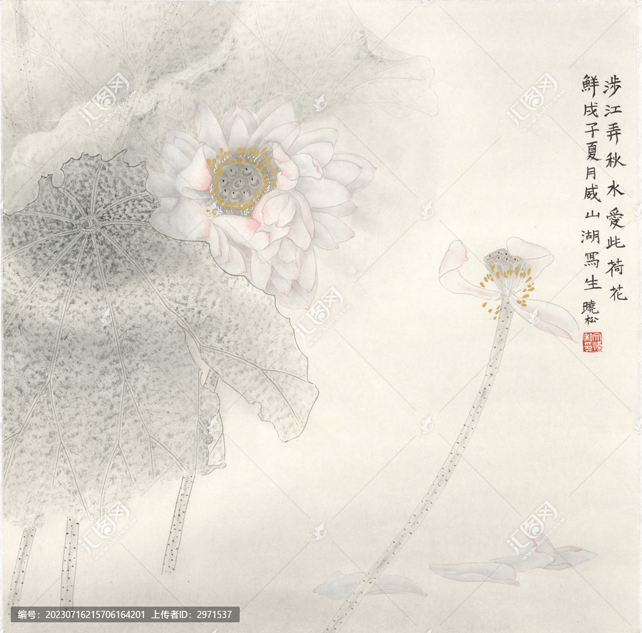 國畫工筆荷花