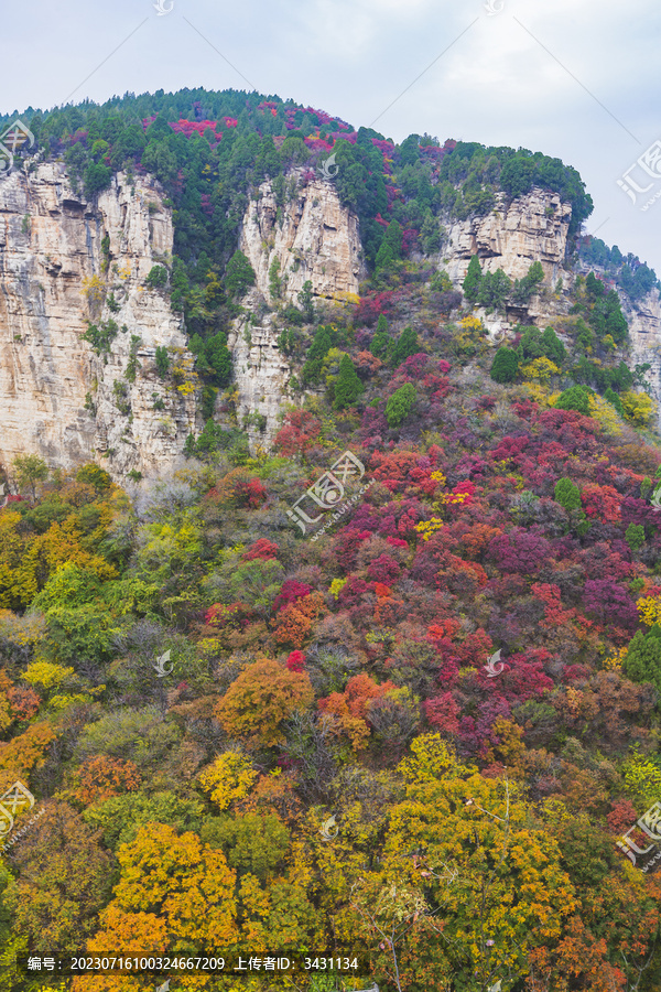 山东济南龙洞景区秋天秋色航拍