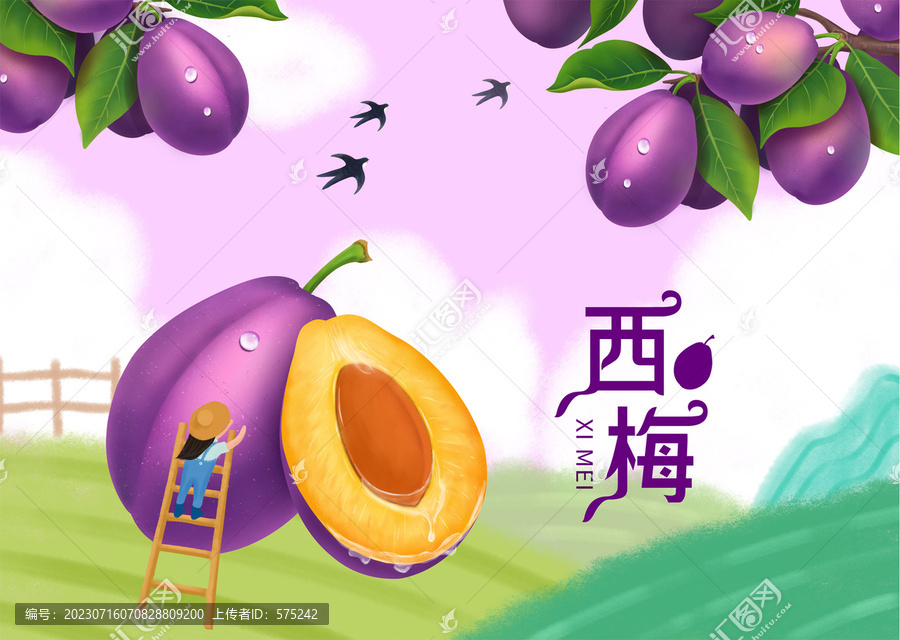 西梅包裝插畫