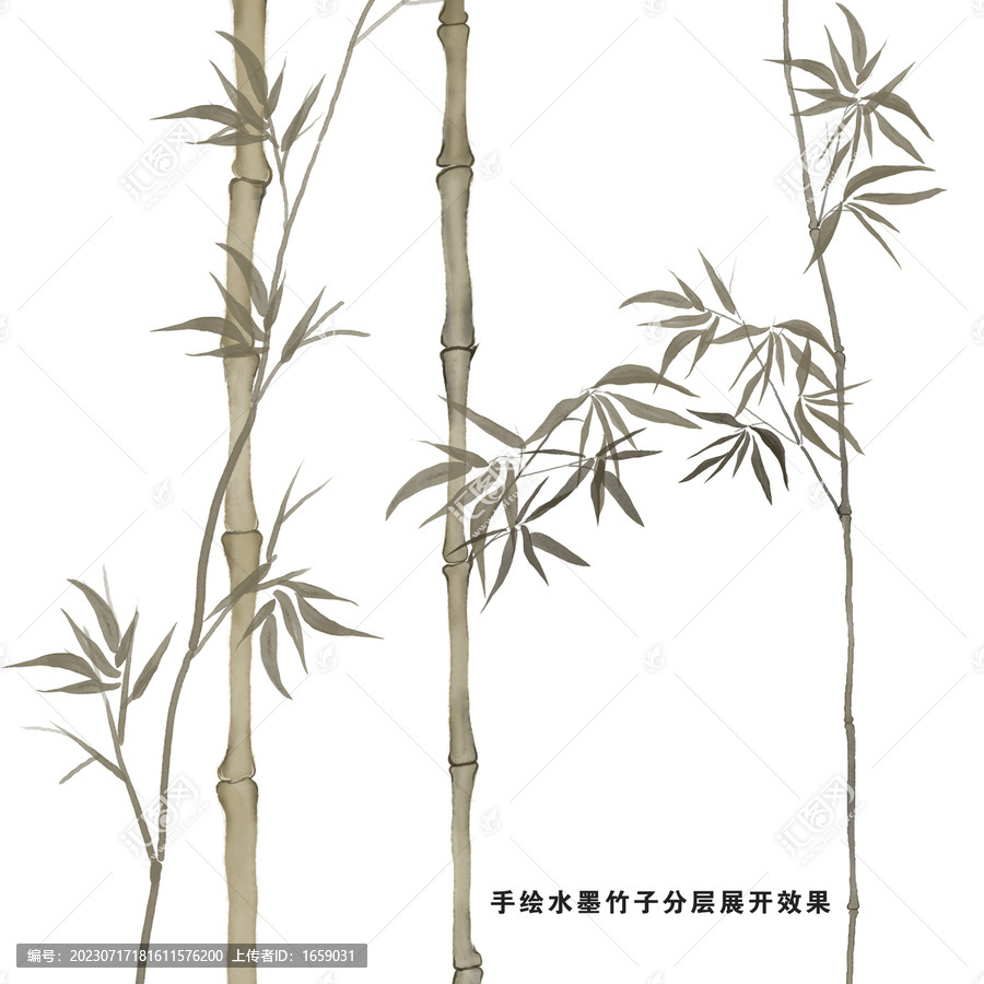 手繪竹影