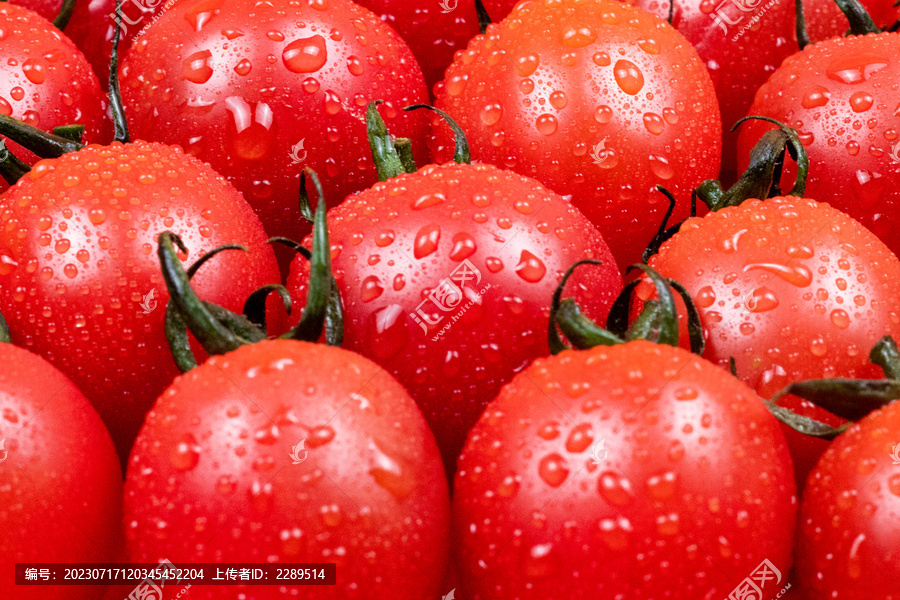 新鲜有机蔬菜西红柿