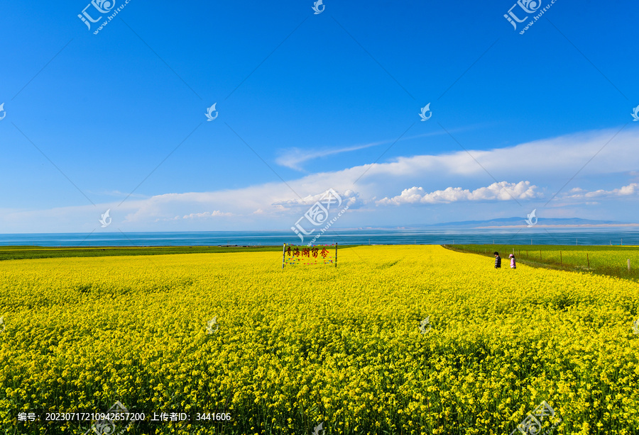 青海湖