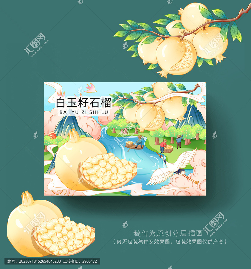 白玉籽石榴插畫手繪