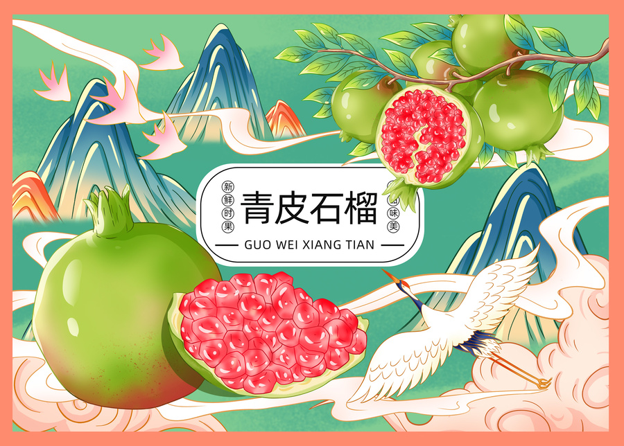 青皮石榴包裝