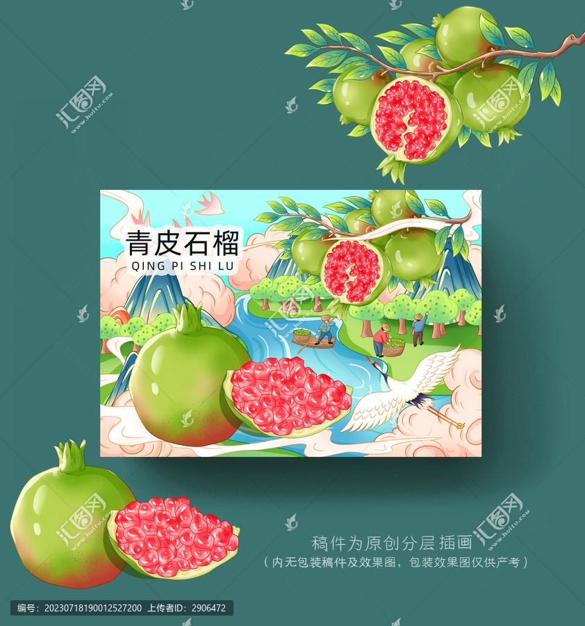 石榴包裝插畫