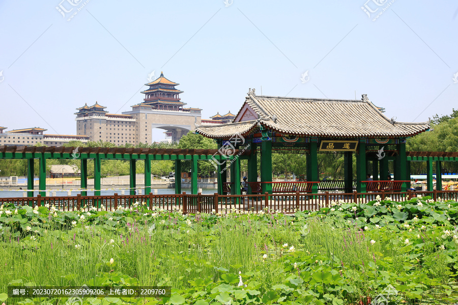 北京莲花池公园品莲长廊