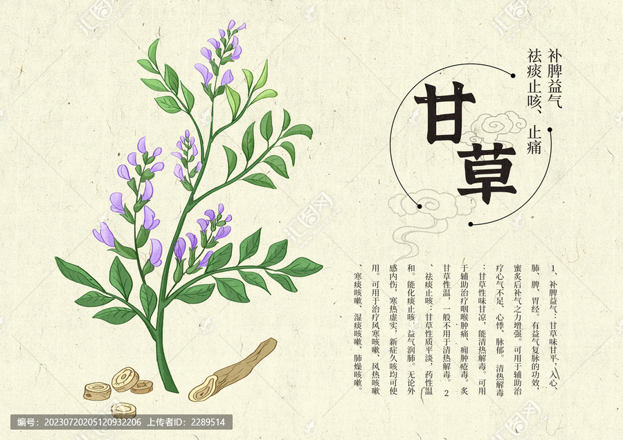 插畫手繪中藥材甘草設(shè)計(jì)排版