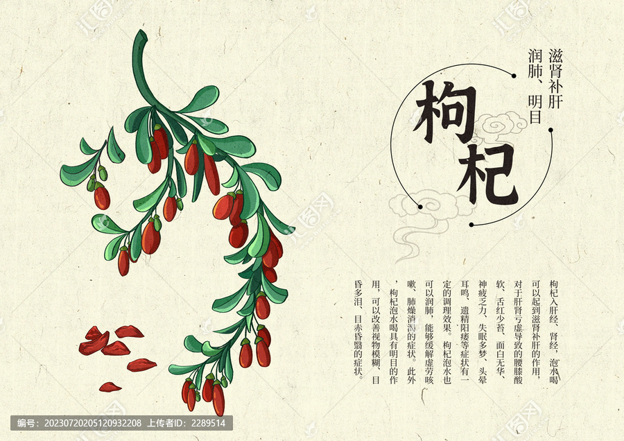插畫手繪中藥材枸杞設(shè)計(jì)排版