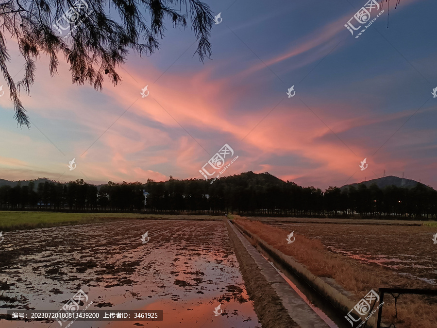 静谧原野