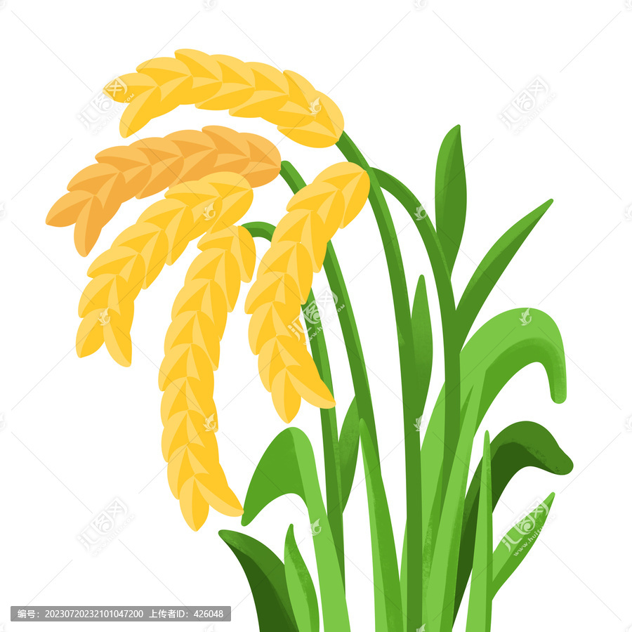 沉甸甸的稻谷分層手繪插畫(huà)