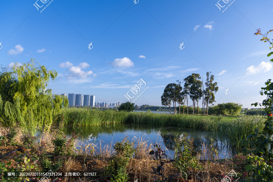 滇池湿地