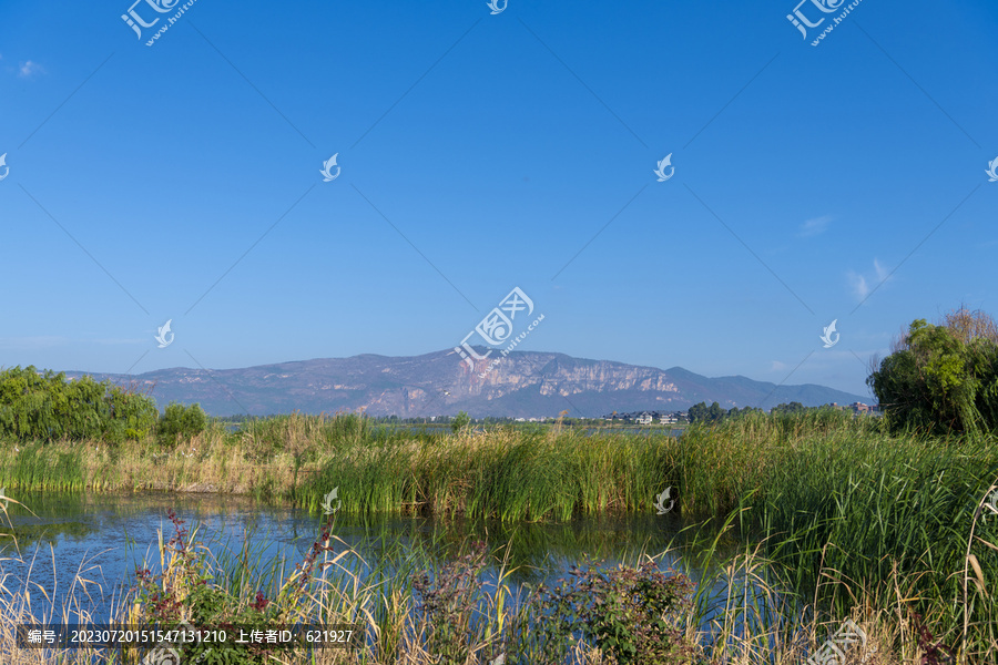 滇池湿地